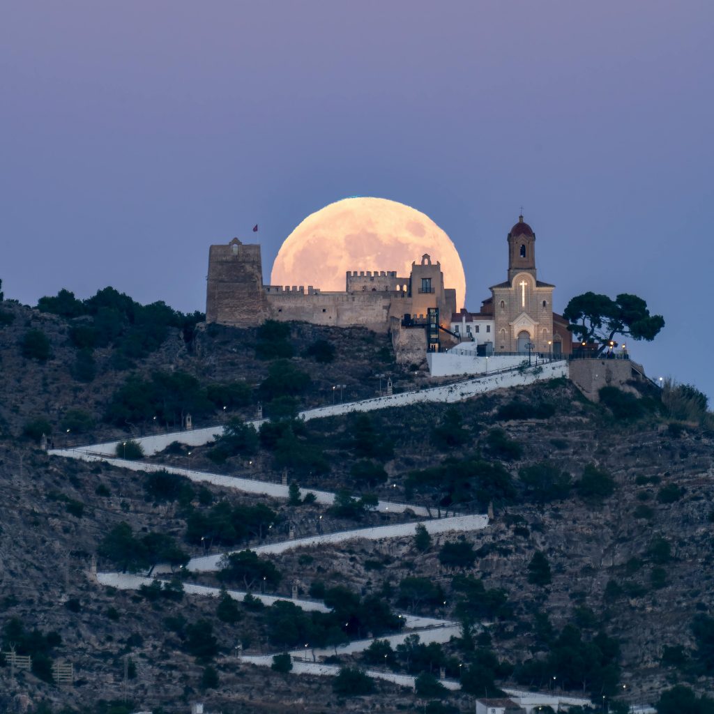 Catholic investing - Altum